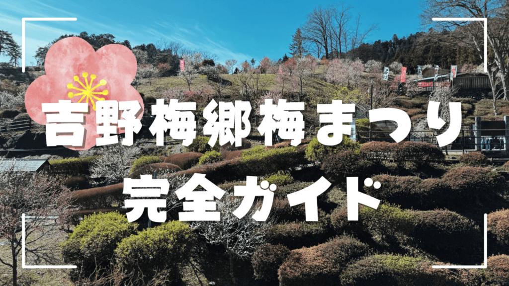 【青梅市】2026年版 吉野梅郷梅まつり完全ガイド｜見頃、アクセス、イベント情報